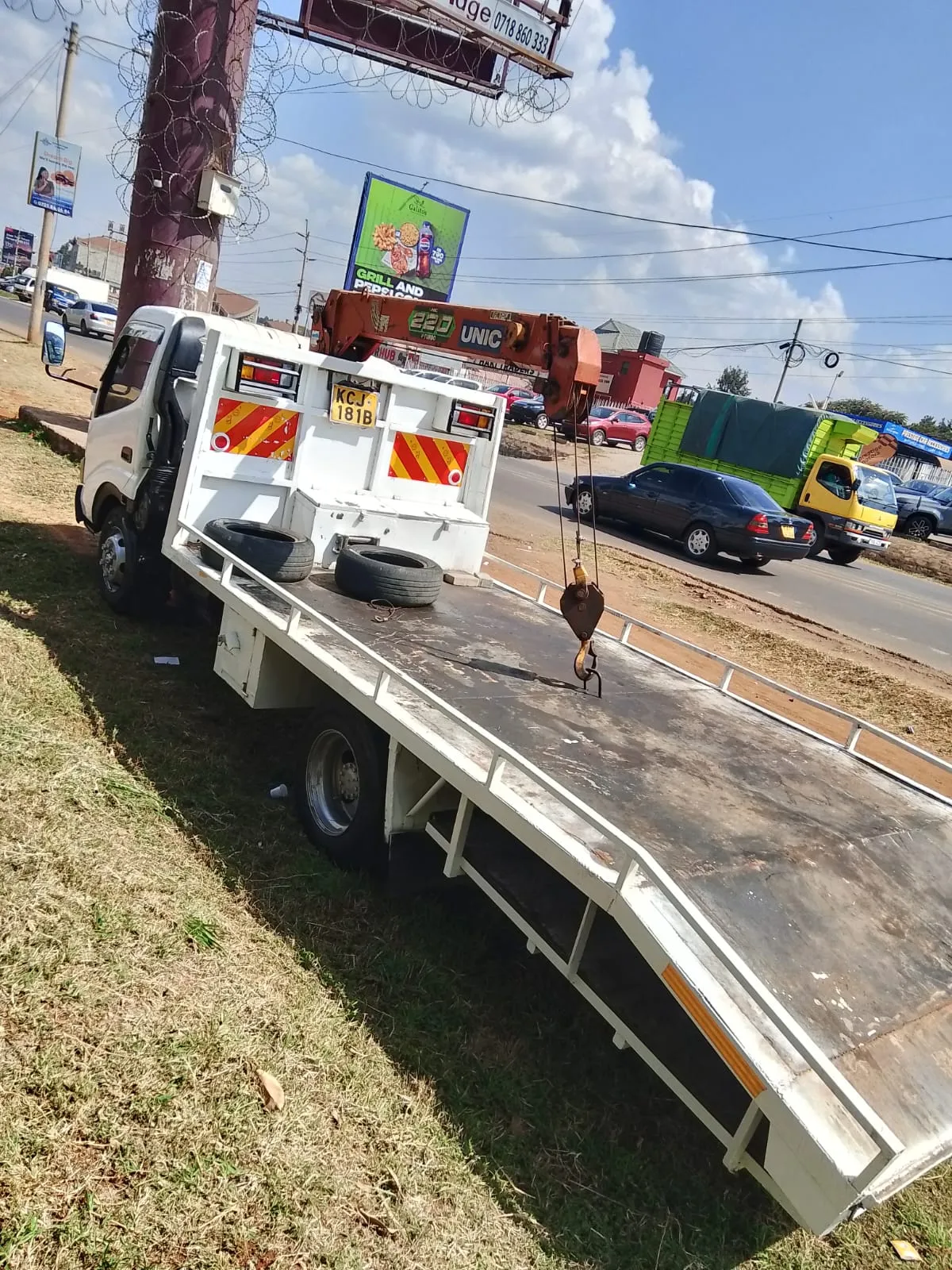 Long Distance Transport